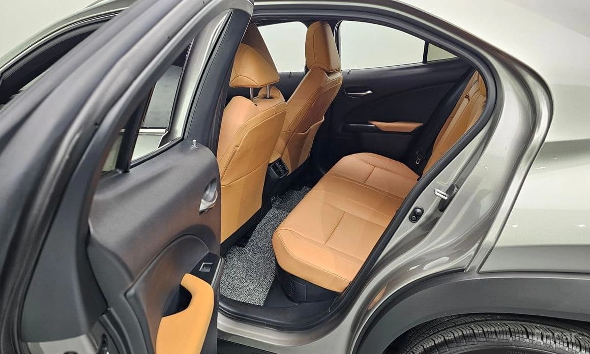 Lexus UX300h 2.0 2WD