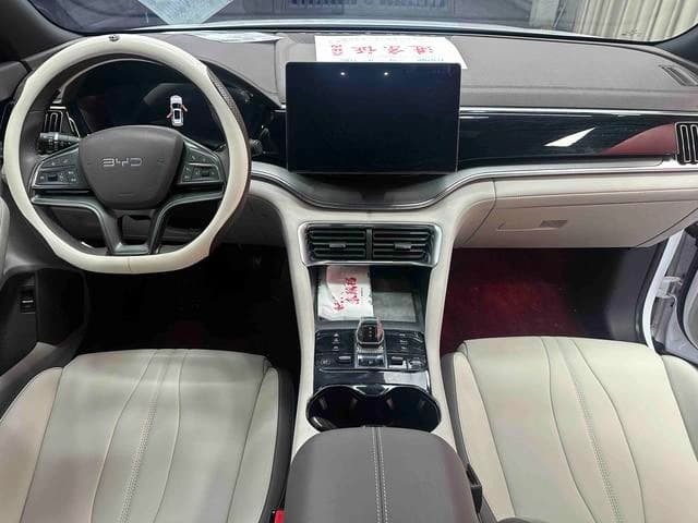 BYD PLUS EV520KM